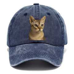 singapura-playful-spirit Hat