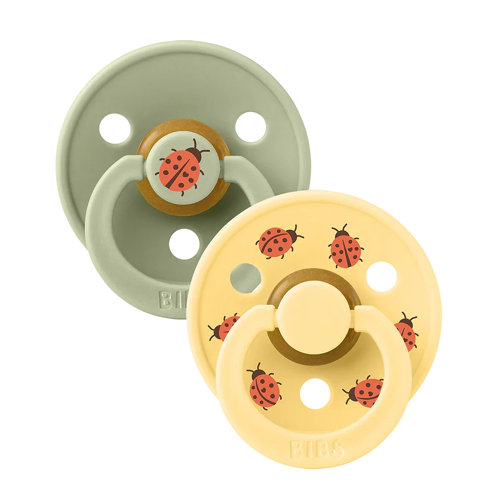 Suce bibs studio 6-18 mois ladybug sage mix pack de 2