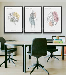 Tableau Neural Network triptyque anatomique Massinart — cerveau illustration linéaire beige