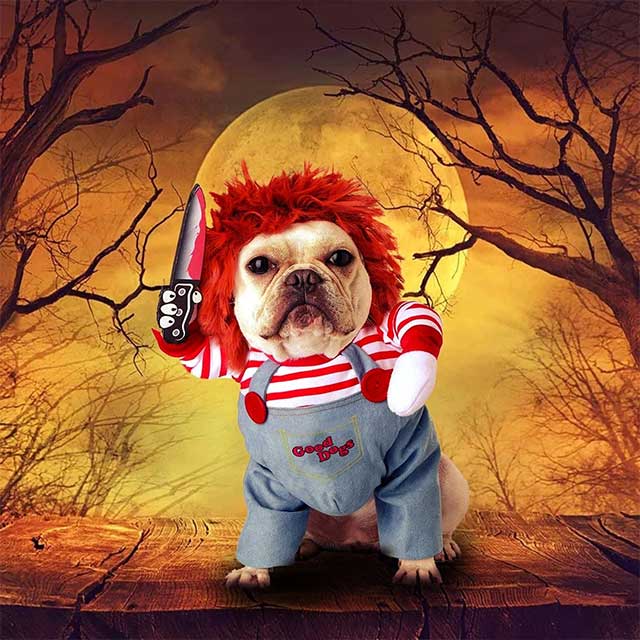 Gadgets d'Eve animaux de compagnie DOGYSM™ : Déguisement d'Halloween pour chien