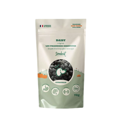 friandises naturelles pour chien