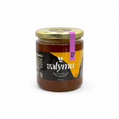 Miel de Quillay Pura (550g) - Cruda y Nativa del Bosque Central