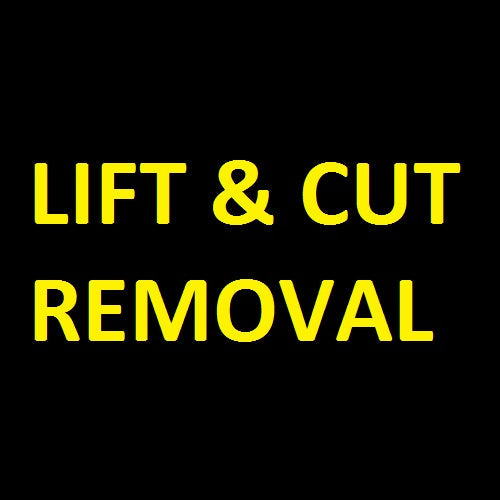 Lift and Cut Removal for Philips Norelco Shavers (With Purchase of Shaver)