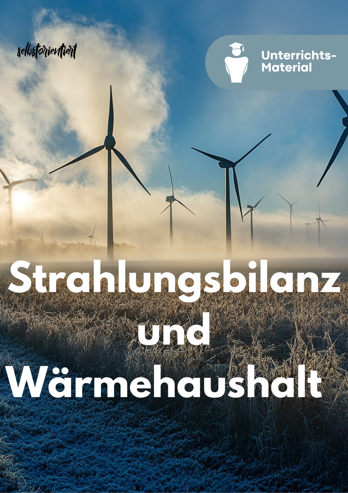 Strahlungsbilanz und Klimazonen - Unterrichtsreihe SEK II