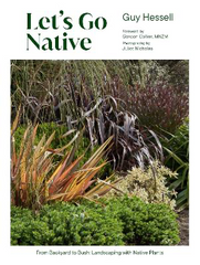Let’s Go Native | Guy Hessell