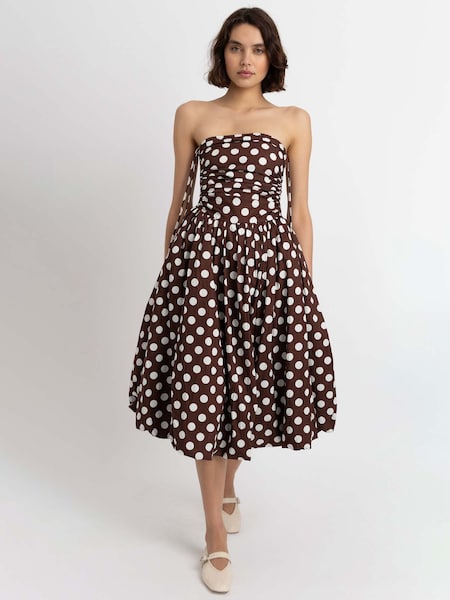 Buy Women's Dresses Brown Spots Bardot Online