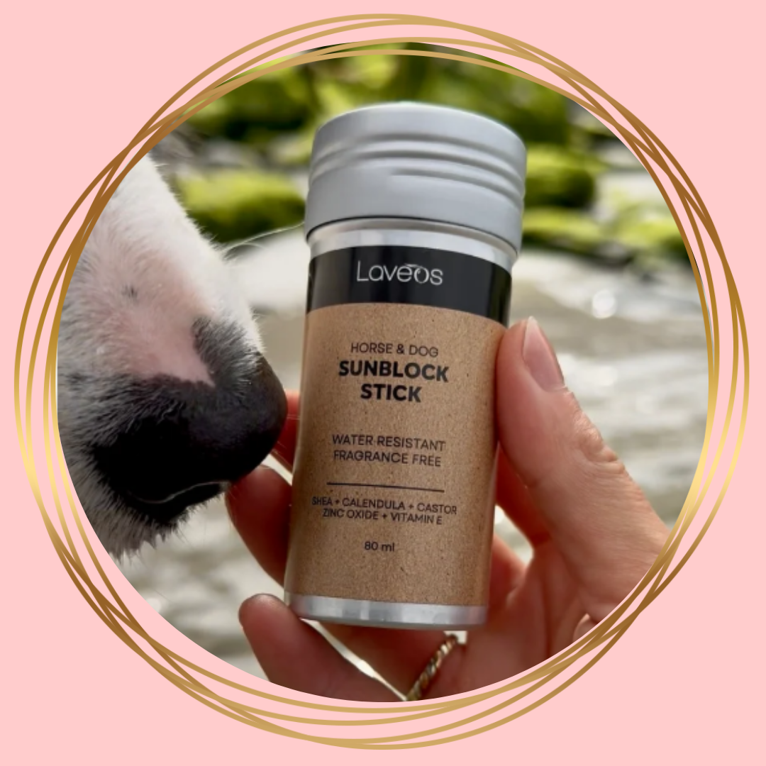 Laveos Sunblock Stick voor paarden en honden met zinc oxide en natuurlijke ingrediënten.
