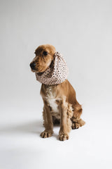 Snood Dots pour chiens - Protection élégante pour longues oreilles - Lou and co. - DOG DéliCAT